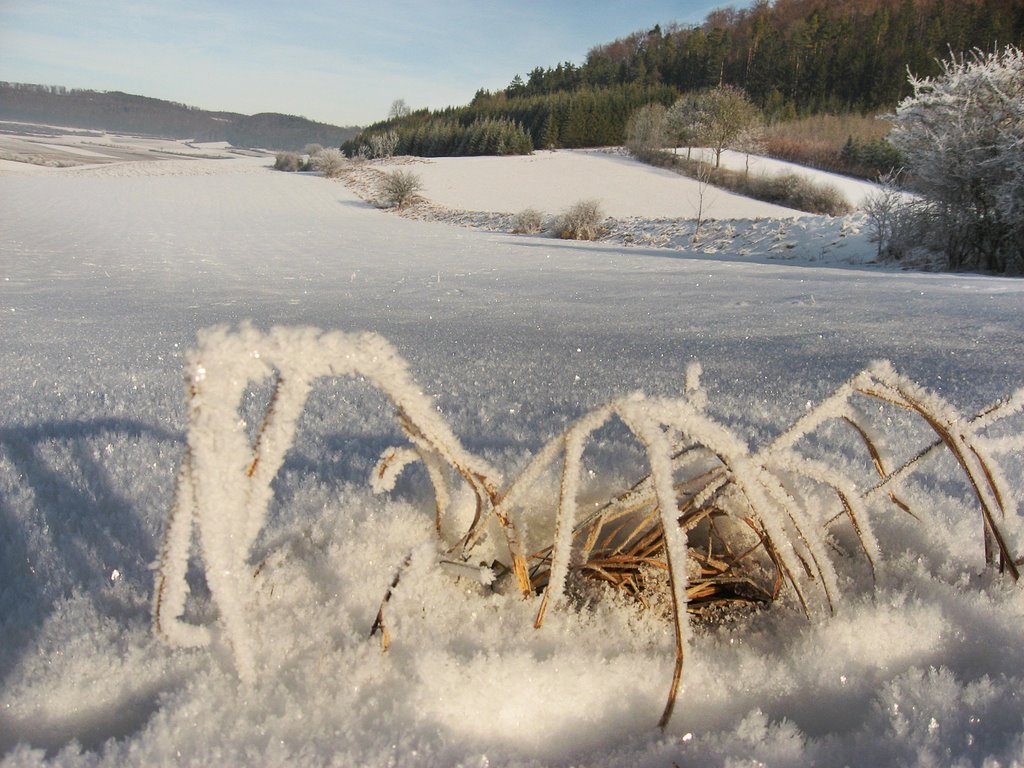 Schneespinne by mellis doppelleben