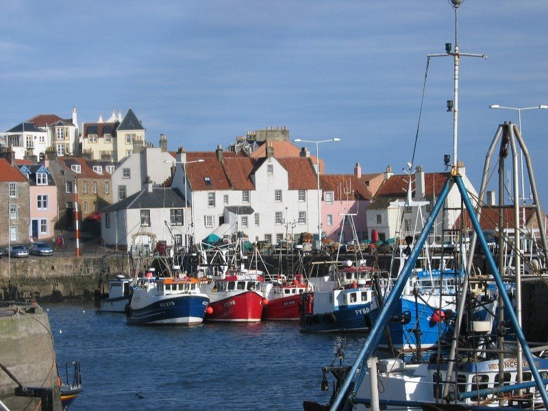 Pittenweem Harbour by Sue Diamond