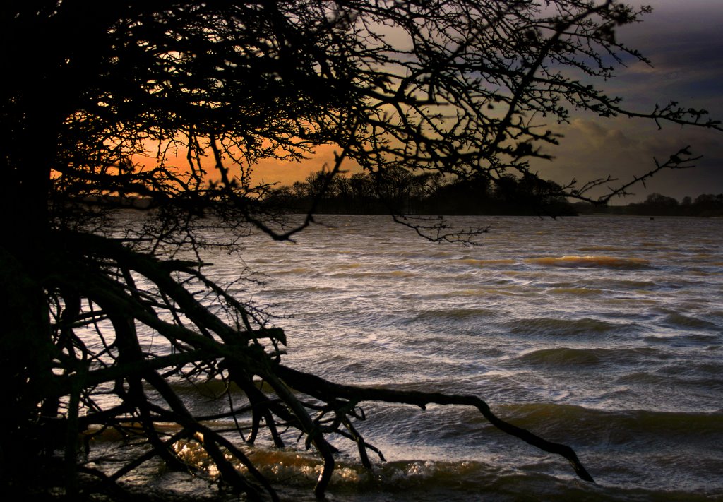 Hornsea Mere East Yorkshire by Andrew Woodhead