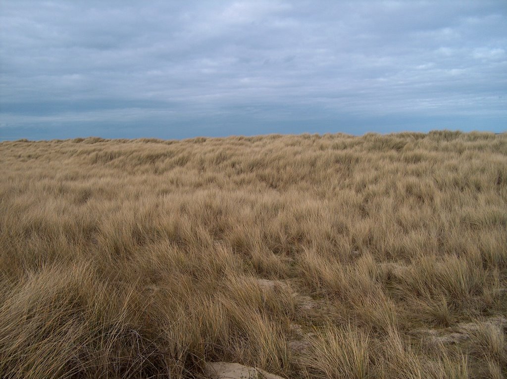 Les dunes by mariemanon