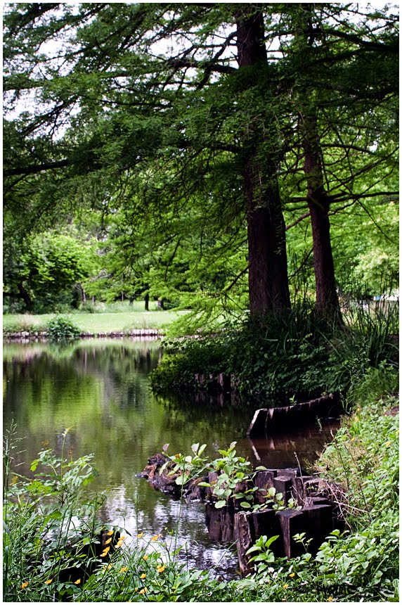 Les tributaires du Parc de Montgaillard sur l'eau Bourde by PACO31