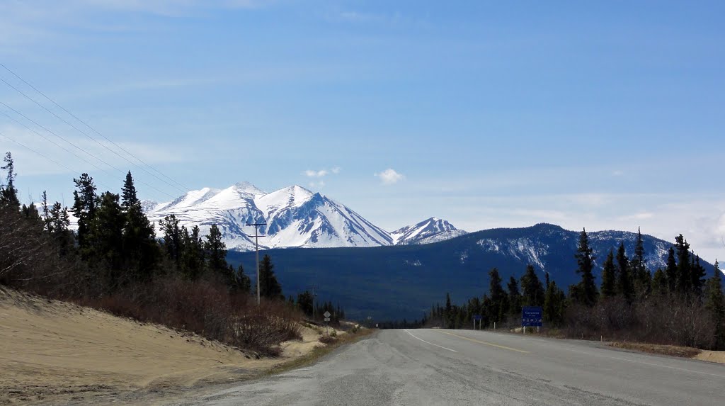 Carcross Desert, Yukon by yvr101