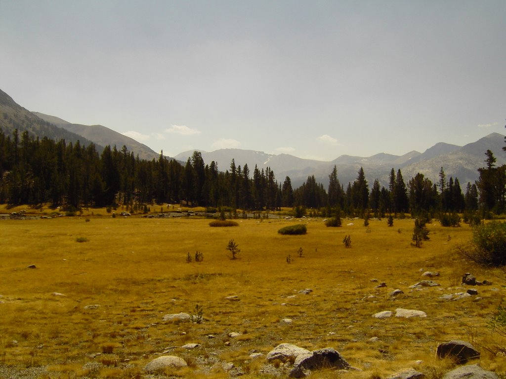 Tioga Pass by sonnenwind