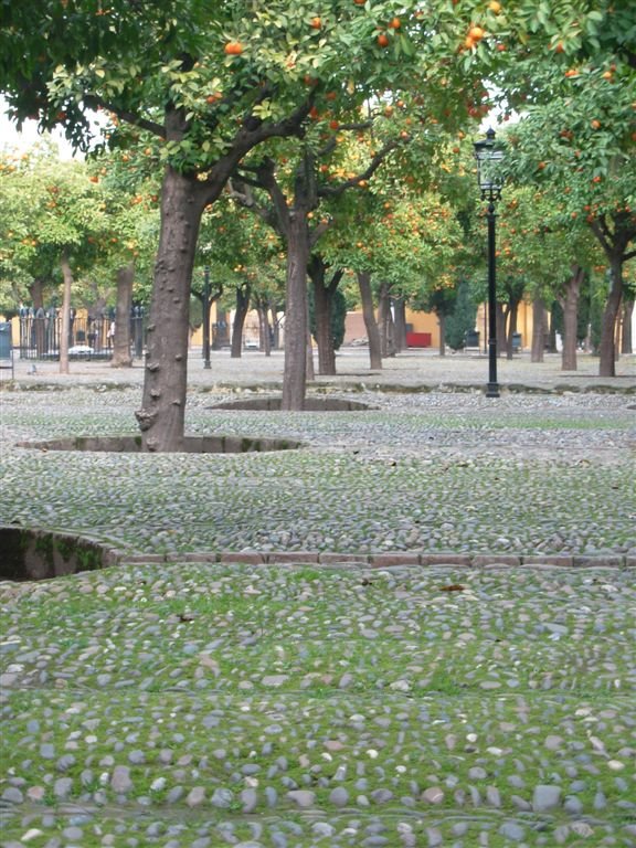 Patio de los naranjos by nicoodes