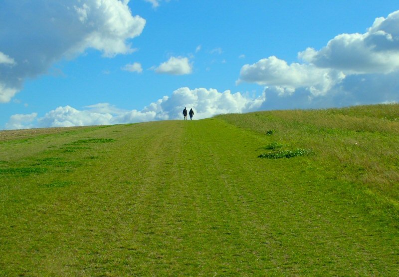 The Walk to the Paradise Garden by Bill Fitzgerald