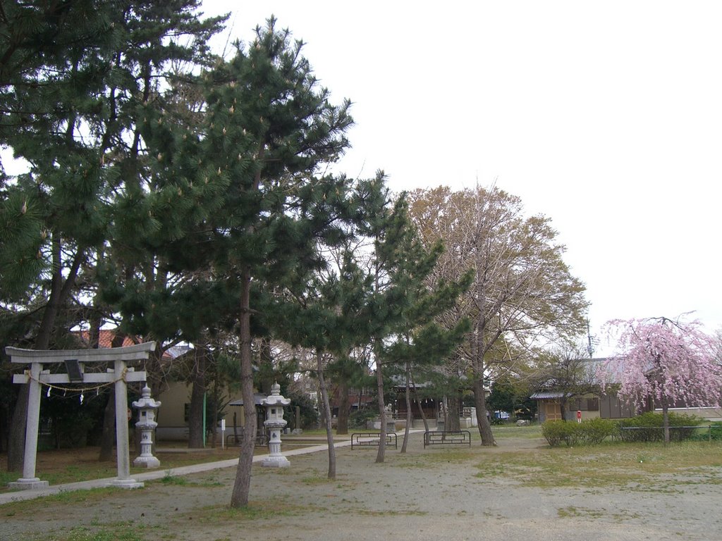 せたがや百景　61　宇奈根氷川神社 by さひがしジュンペイ