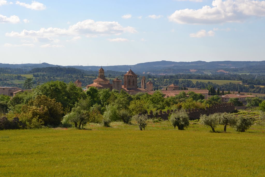 Reial Monestir de Santa Maria de Poblet, may.2013 by Can Tres