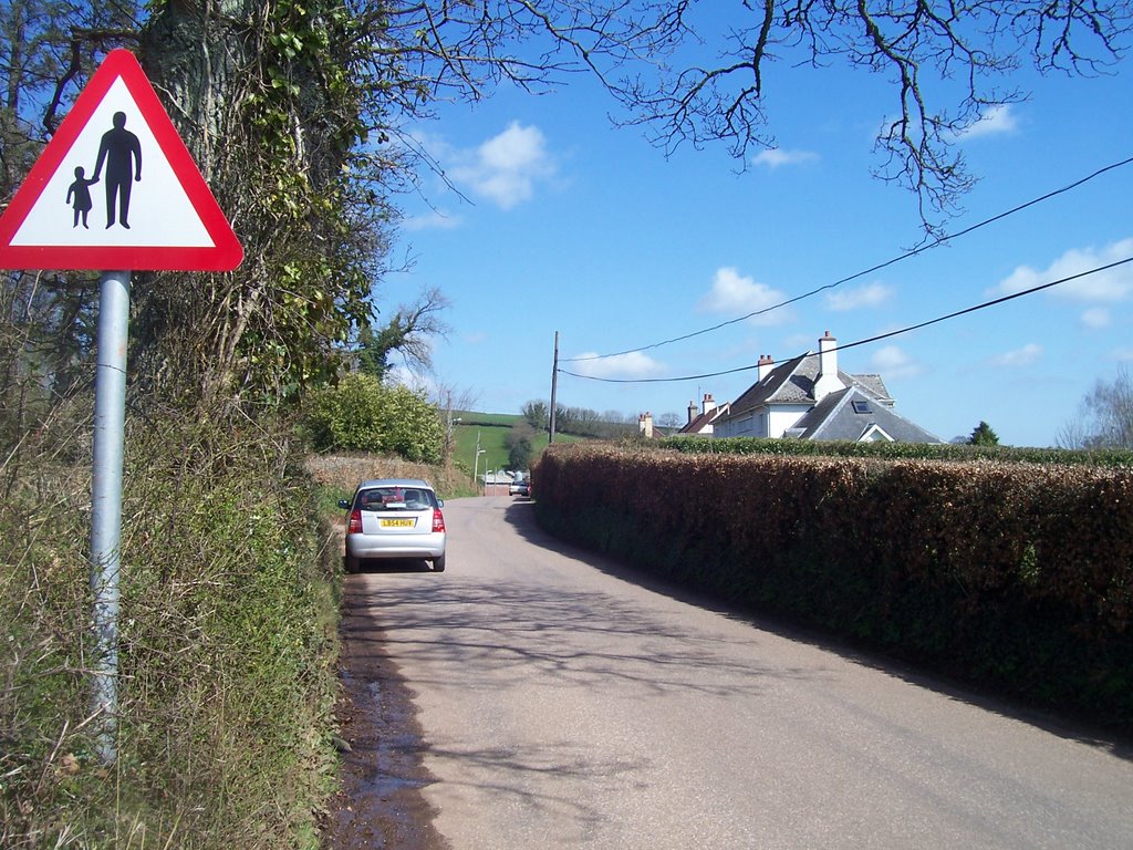 Tiverton - Country Lane by A Photographer