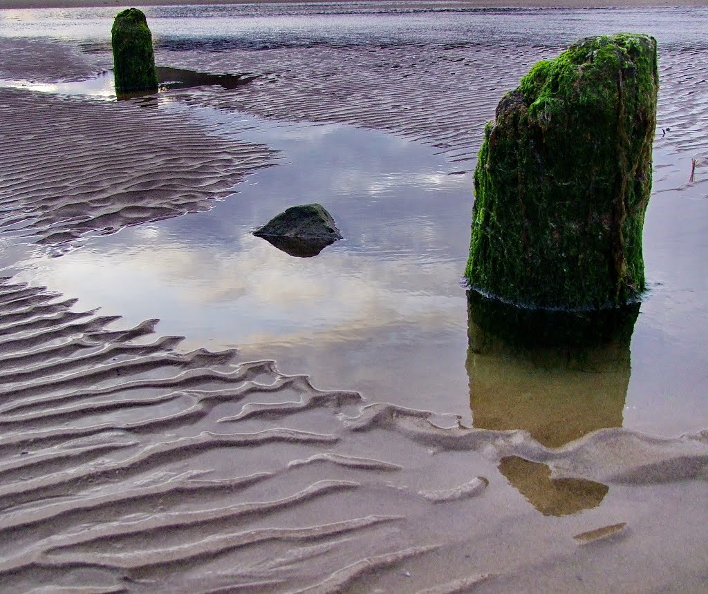 After the tide has gone by Neale J