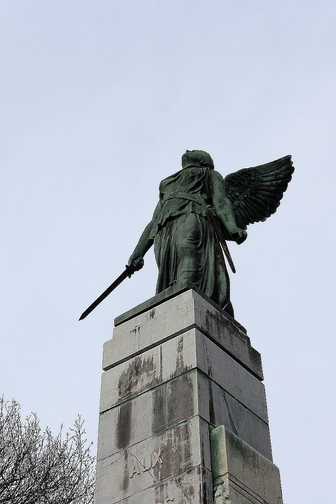 *Wandre: cimetière militaire belge de Rabosée, monument (détail) by Hans Briaire