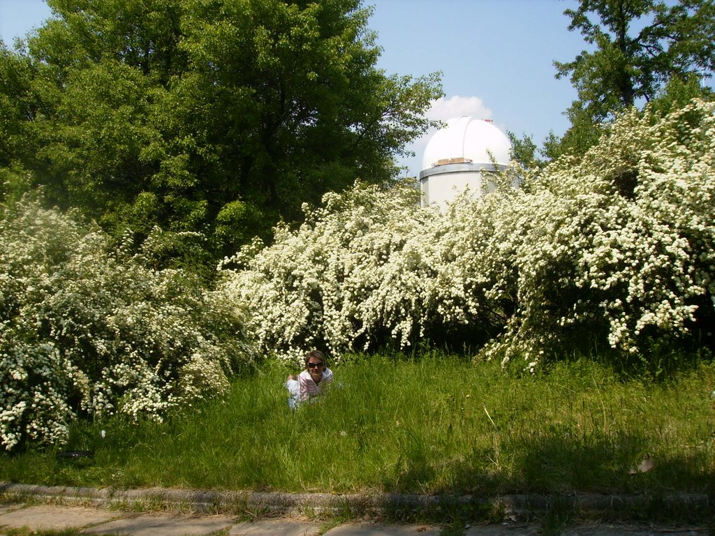 The dome of the observatory in park Prostor www.youtube.com/watch?v=F19BD1FtN9A by kassiopea