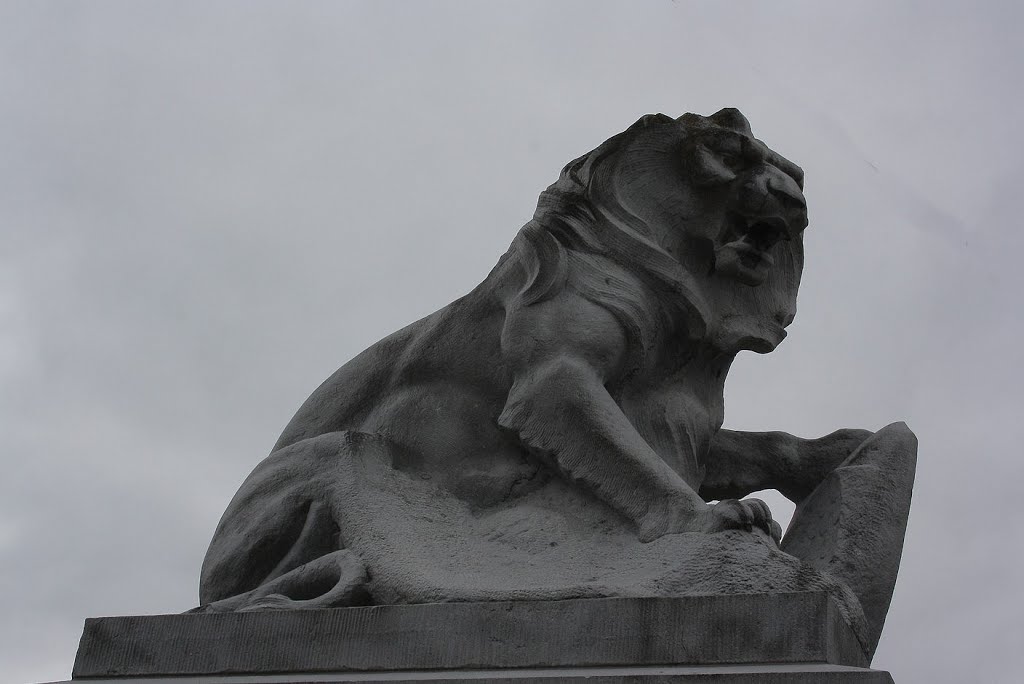 *Lixhe: monument aux morts 1914-1918 (détail) by Hans Briaire