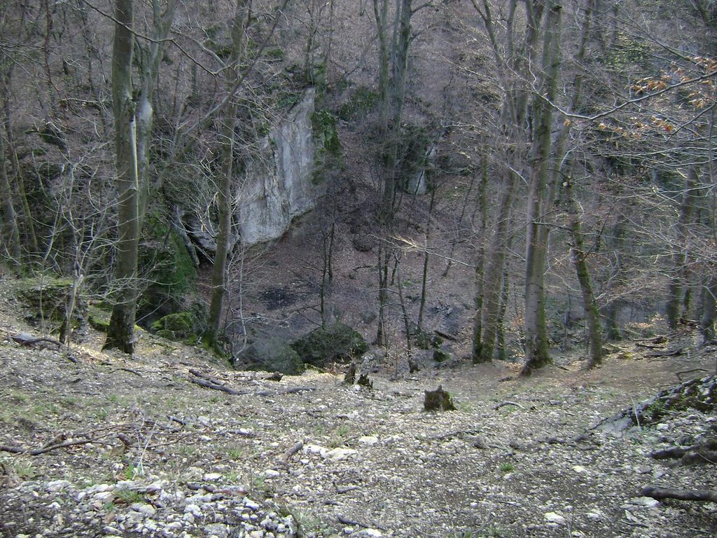 Devil's ditch from above, 30.March,2008 (Ördögárok fentről) by PanoramioHungary