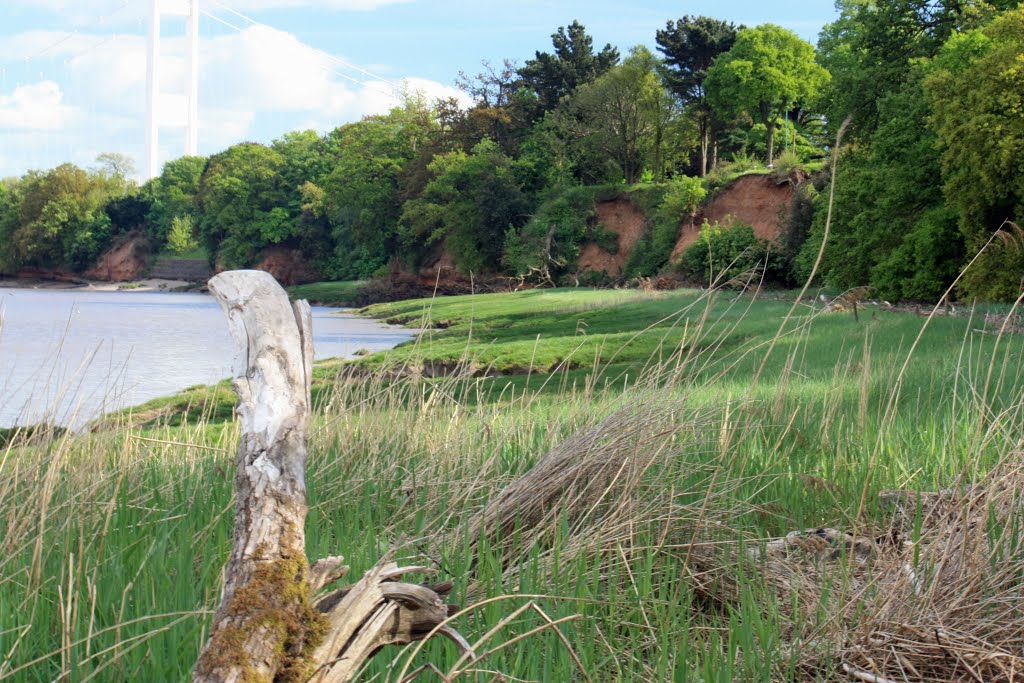 River Severn foreshore and sea wall by ben hollier