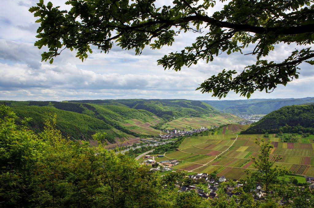 Ausblick ins Moseltal Bruttig by Heinz Peierl