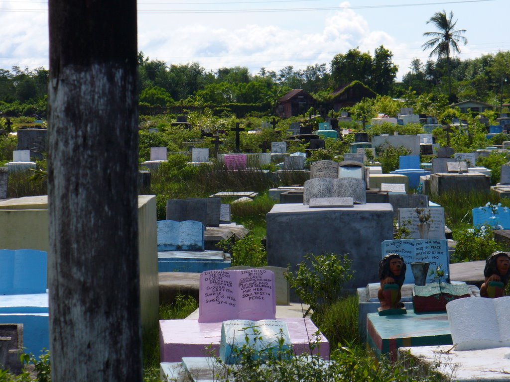 New Amsterdam Cemetery by Whitney Price