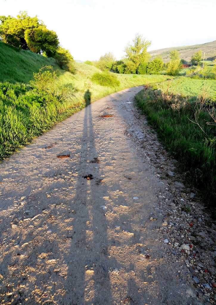 Camino por la mañana, cerca de Hontanas (Castilla y León) by Peregrino2013