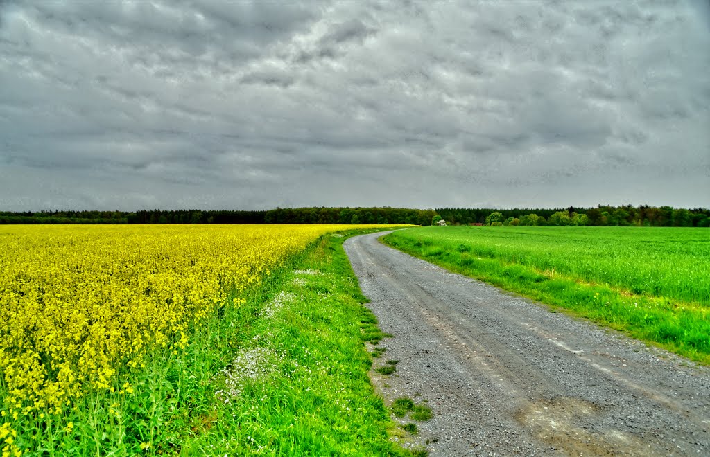 Überlandweg von Wallstawe nach Wötz by Peter Klähn