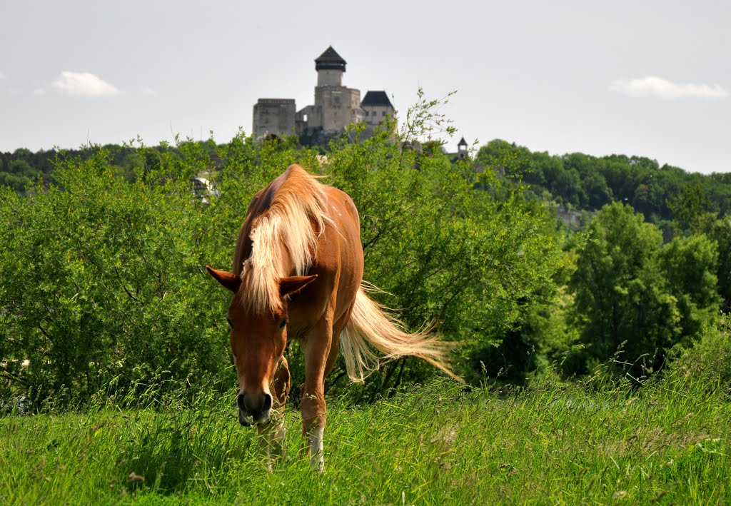 Trencin castle by MirHul