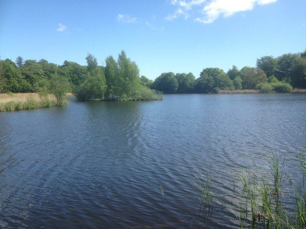 Dyrehaven, Fuglesangsø by clauskamp