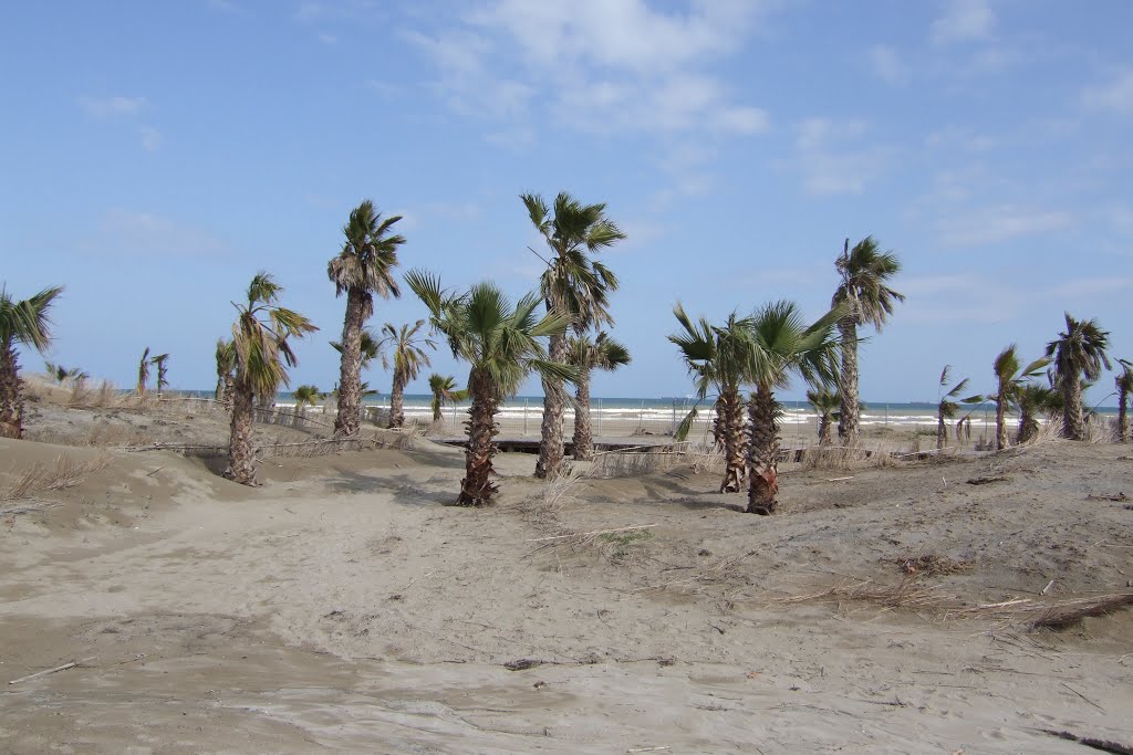 Playa del Grau de Castellón. España. by María Fernando