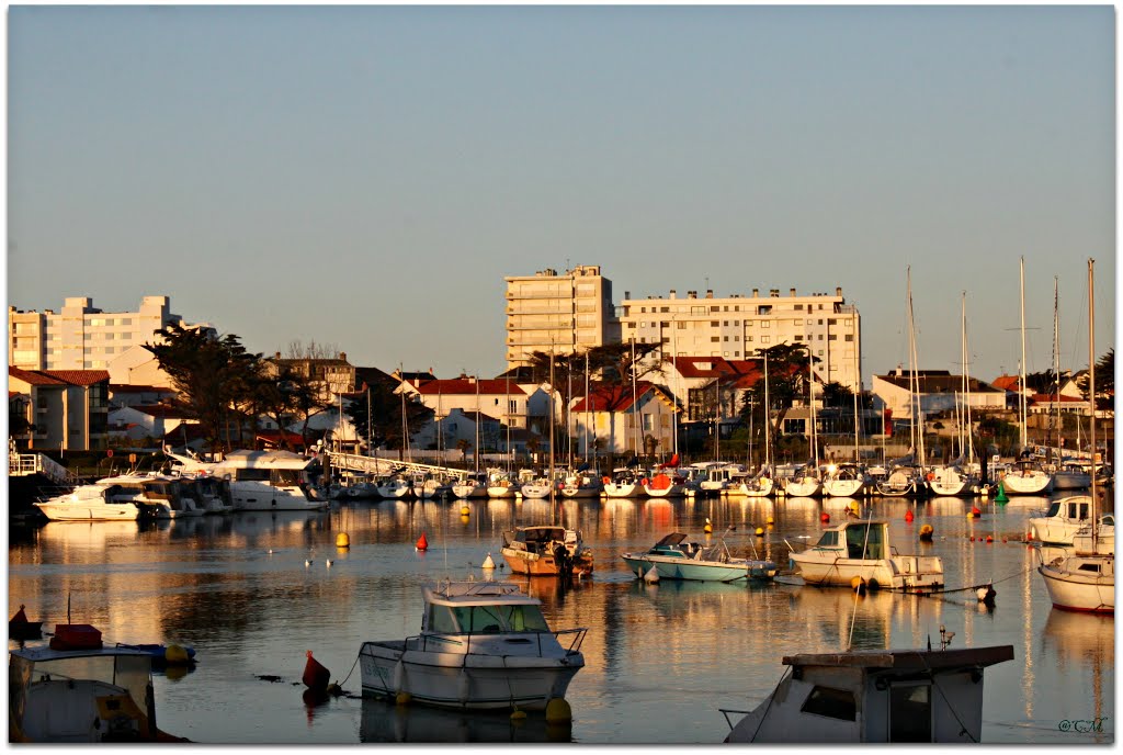 Port of Saint-Croix-de-Vie in the early morning by © cvandermeijden