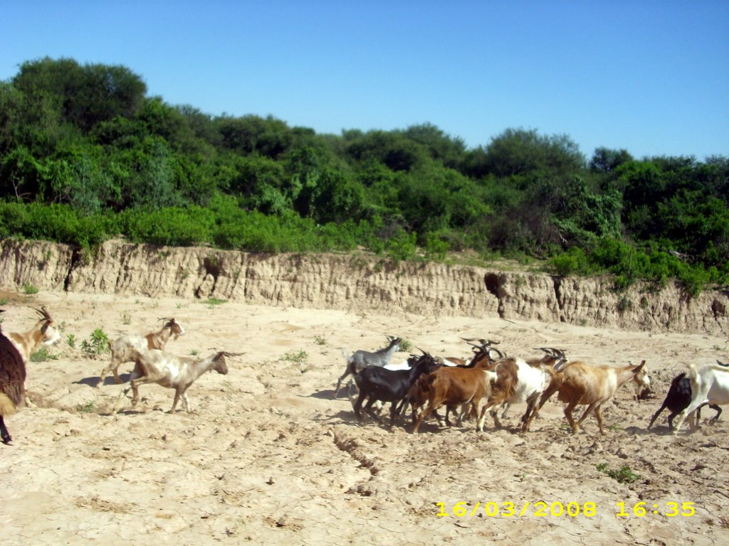 Camino de Laguna Yema a Sumayen by rosannapenayo