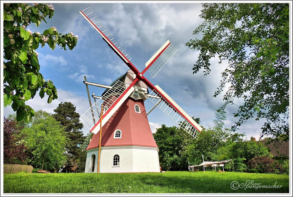 Windmühle Quelkhorn, frisch renoviert. by Reiner Spangemacher