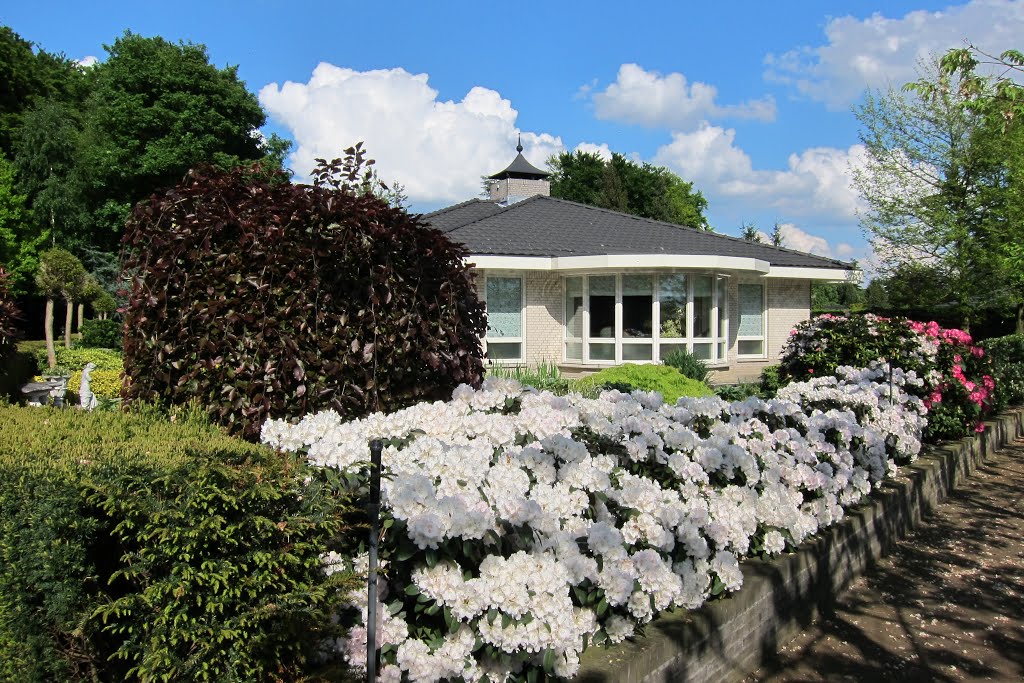 Nice villas and lovely Rhododendrons at Rozendaal by Henq