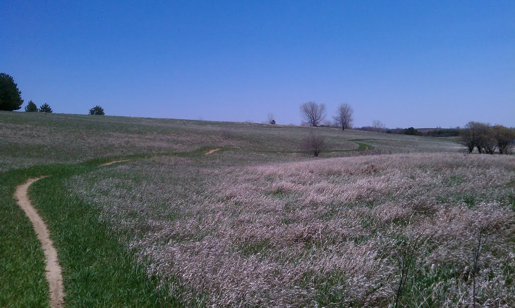 Maskenthine Rec Area MTB Trail view by jpneb