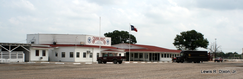 Sulphur Springs Livestock and Dairy Auction by Xonid1