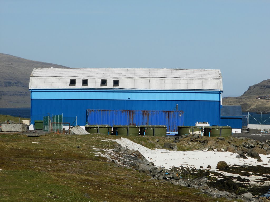 Marine Research Centre in Nesvík - Fiskaaling by Eileen Sandá