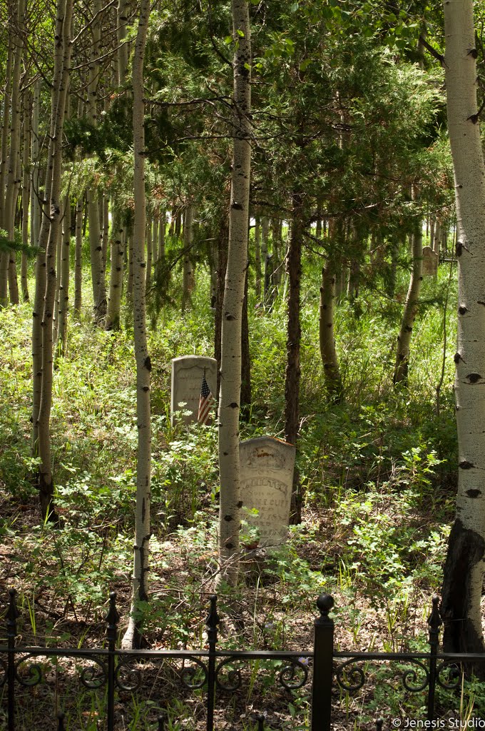 Alavardo Cemetery, Georgetown, Colorado by PurpleBling