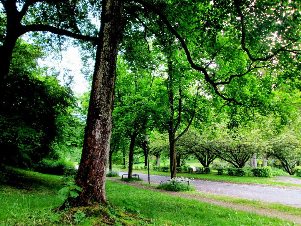 Park Allée by M´eeralgues Aquârelémell