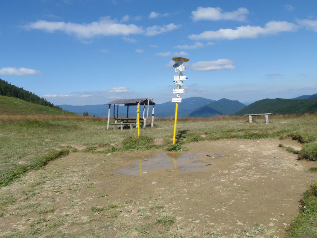 Sedlo Medziholie 1185m, rázcestník by HomerJ.