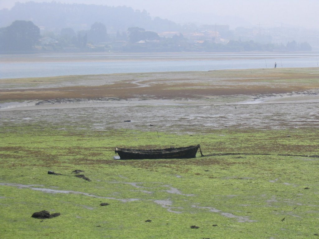 Ría del Burgo con marea baja (Culleredo - La Coruña) by SlimJean