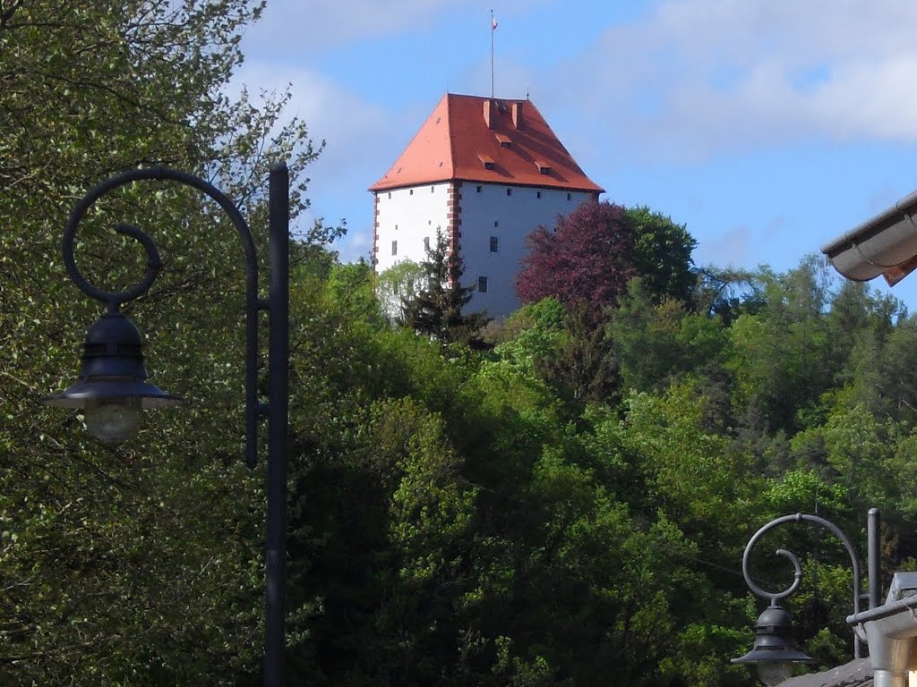 Ziegenrück - die Burg by Werner-ZR