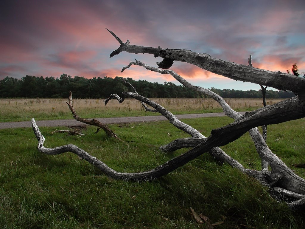 Grensweg by G. van Doorn