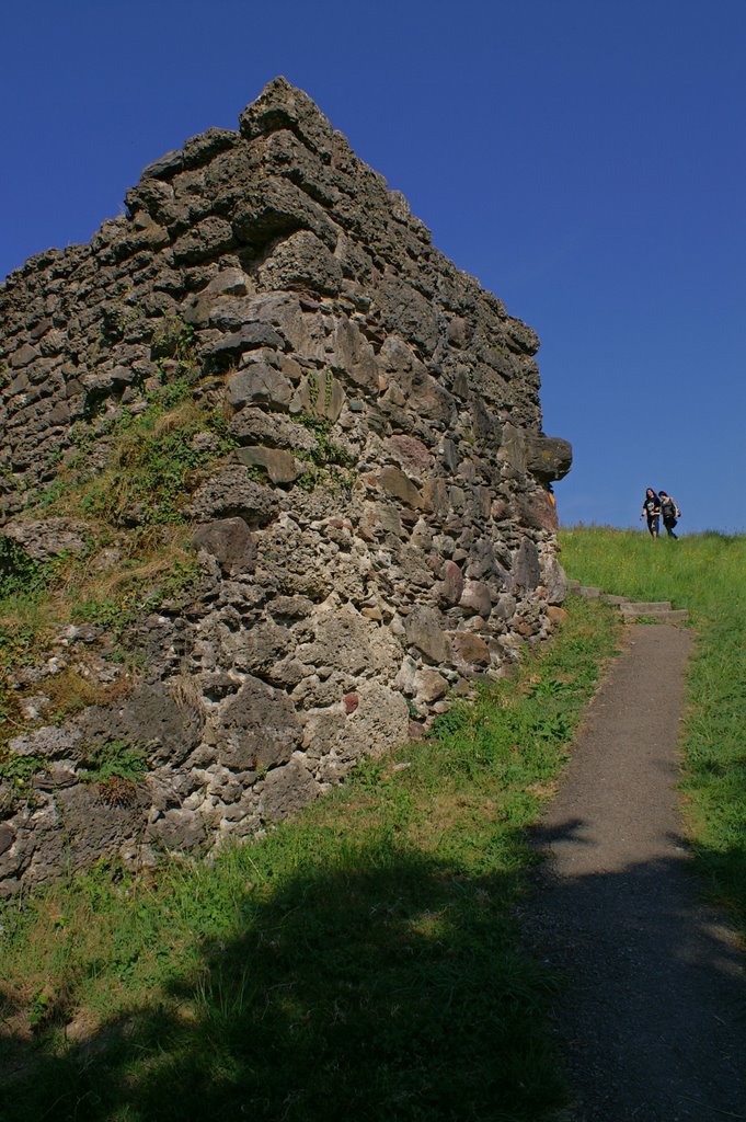 Ruine Alt Wädenswil by Andy.R