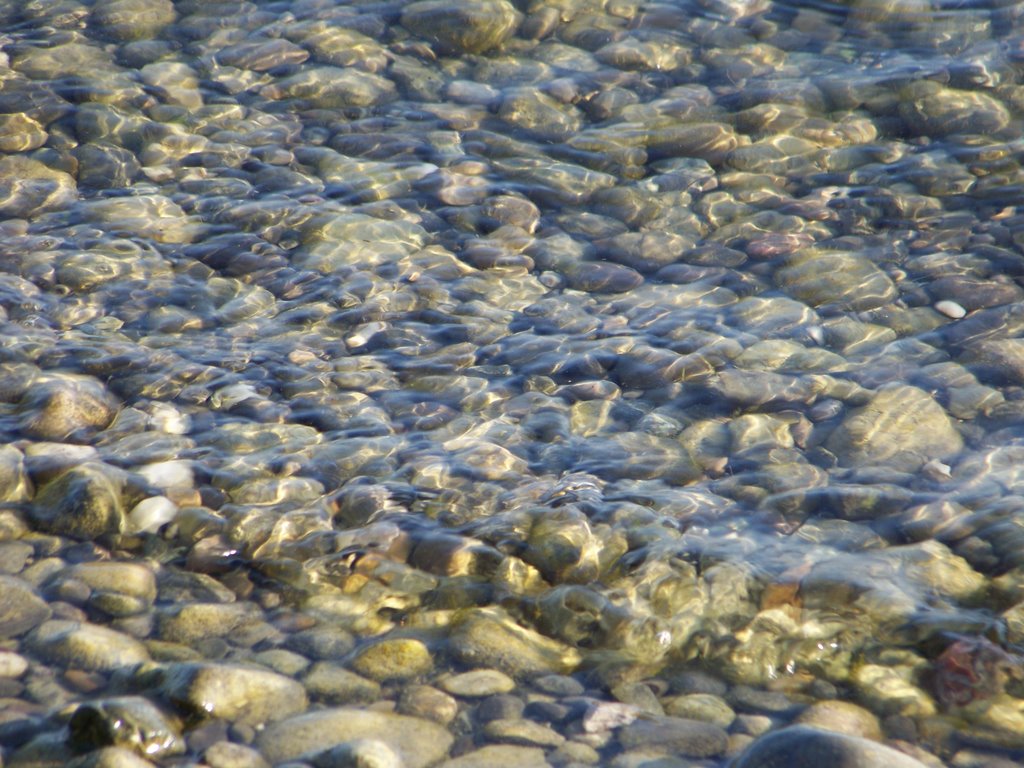 Steine im Bodensee, Uferbereich Radolfzell by Quibbler