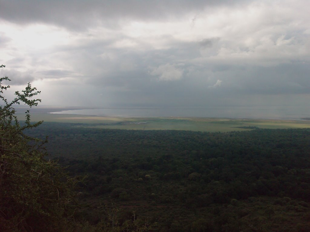 Lac Manyara - Tanzanie by CALAR22282709