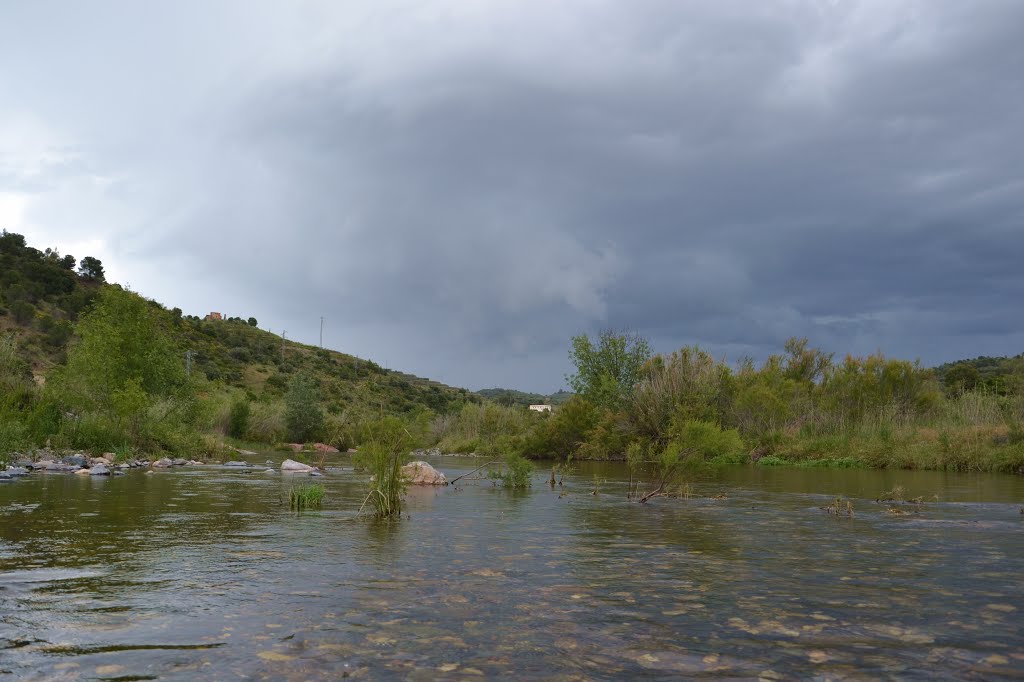 El río Siurana, baja desde Bellmunt..., may.2013 by Can Tres