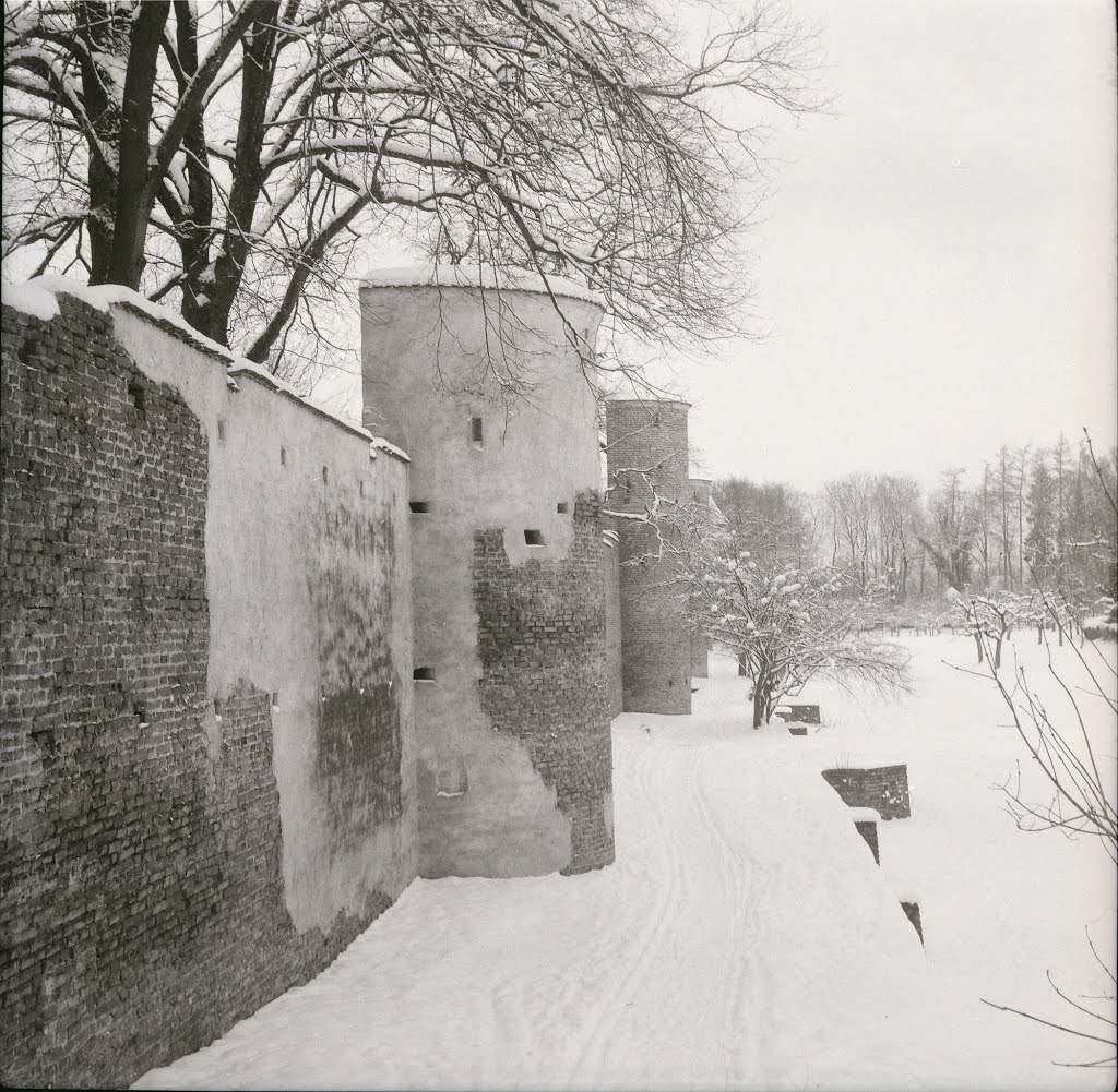 Stadtmauer Landsberg am Lech by pe.markus