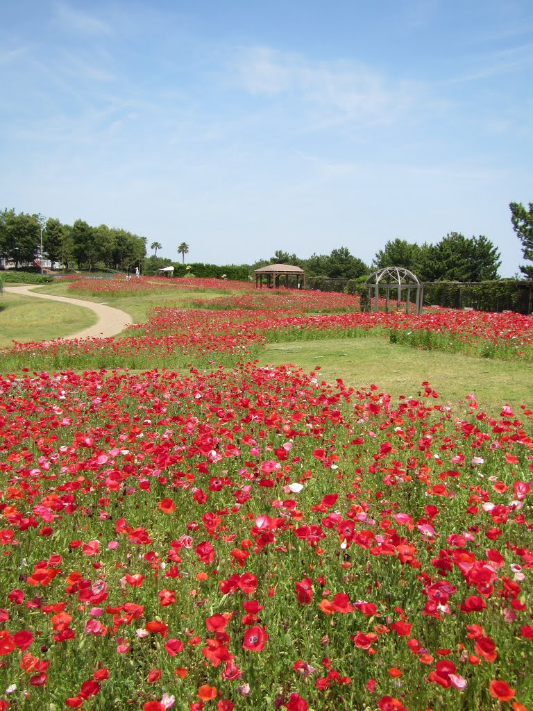 淡路島国営明石海峡公園 by mariemon