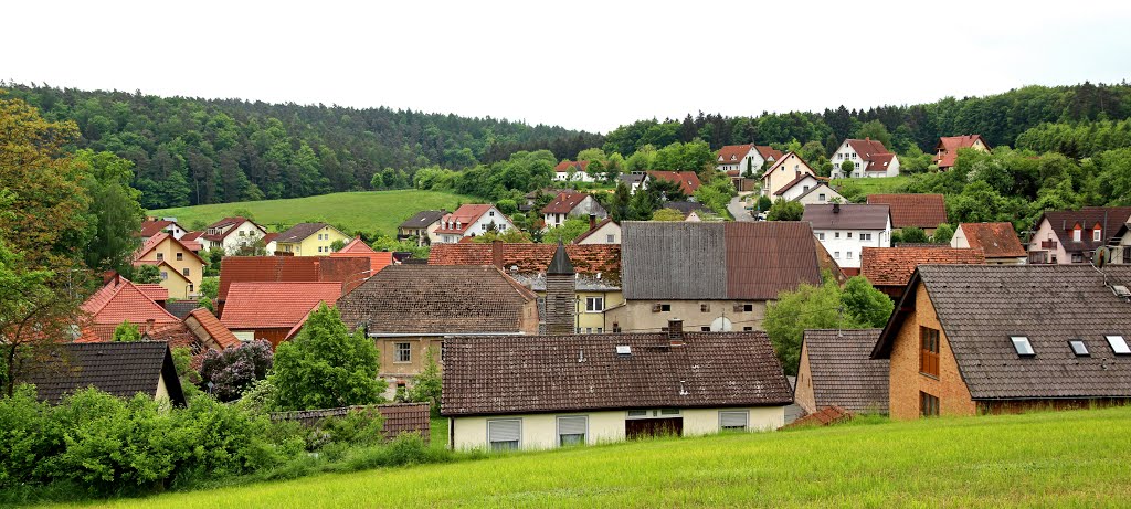 Blick von Norden auf Bischberg-Weipelsdorf by Contessa