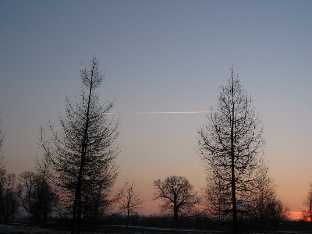 Sky above Kolomenskoe park by Tessa03