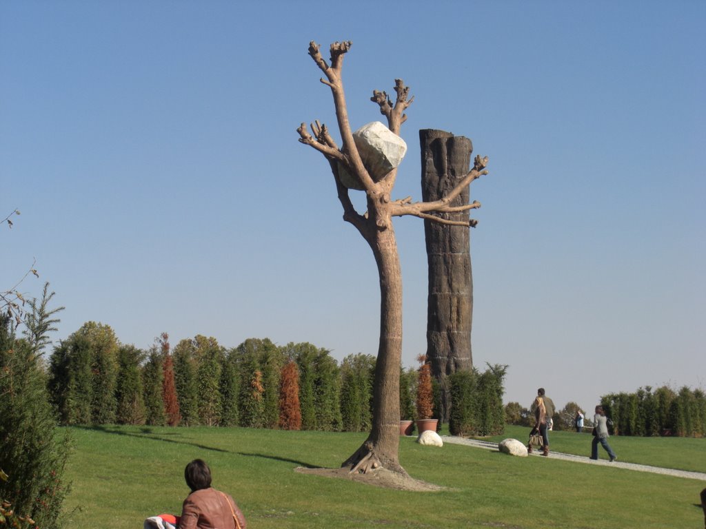 ALBERO IN BRONZO (GIARDINI DELLA REGGIA DI VENARIA REALE) by linus0321