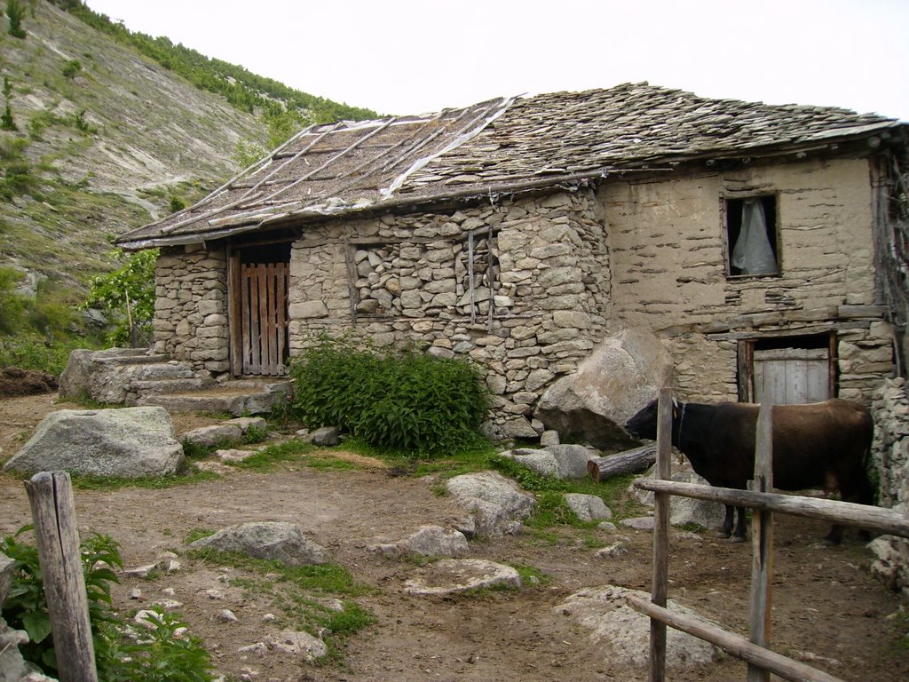 A typical old house in Nenkovo by kassiopea