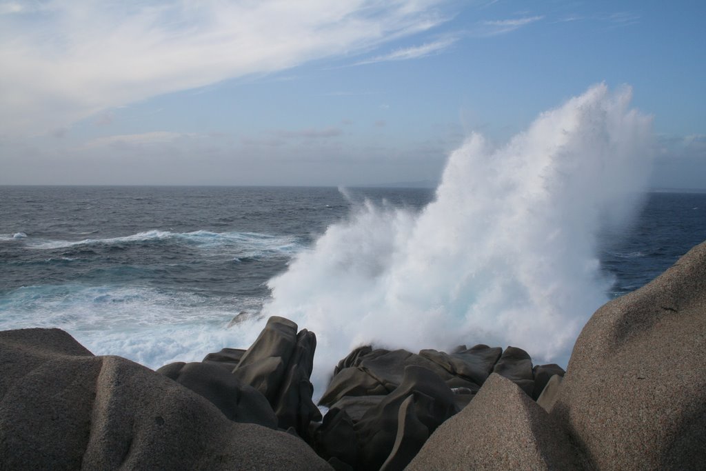 Onde capo testa by Ignazia