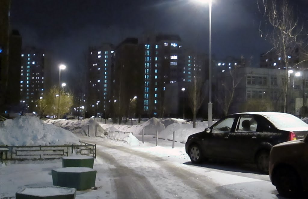 Moscow, winter in the Maryinsky park by Andrey Velichko